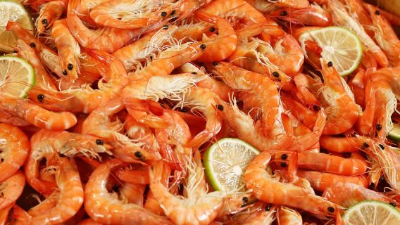 Baucar Makan Tengah Hari atau Makan Malam Bufet Le café Hsinchu Royal Hotel (Hujung Minggu +NT$150)