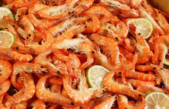 新竹老爺酒店Le café自助式午或晚餐券(假日+NT$150)