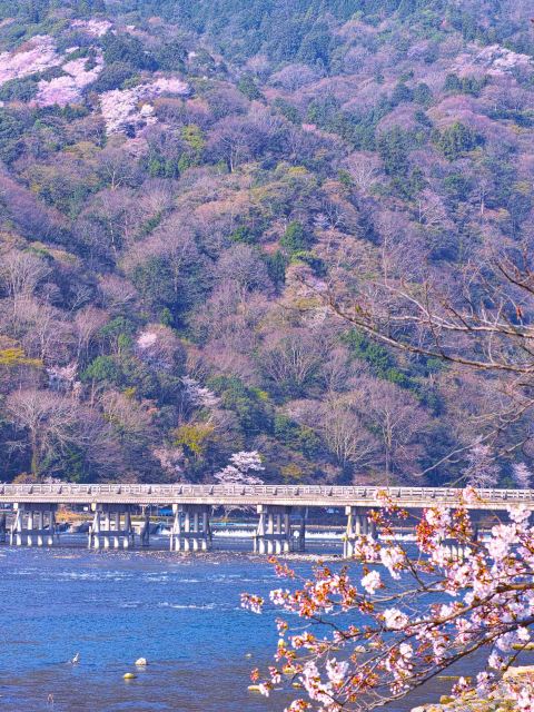 京都嵐山深度一日遊,可京都大阪上下車,竹林小徑,渡月橋