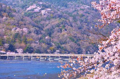 京都嵐山深度一日遊，可京都大阪上下車，竹林小徑，渡月橋