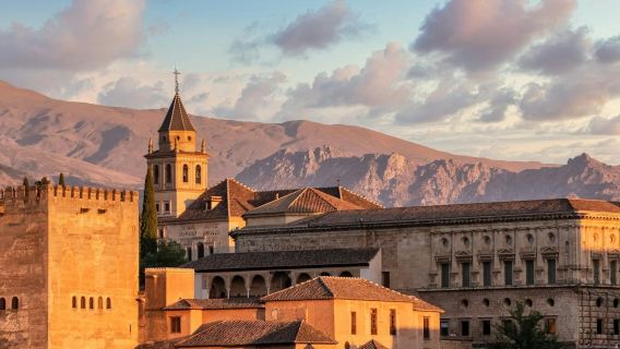 Alhambra e Palazzi Nasridi: biglietto salta fila + visita guidata