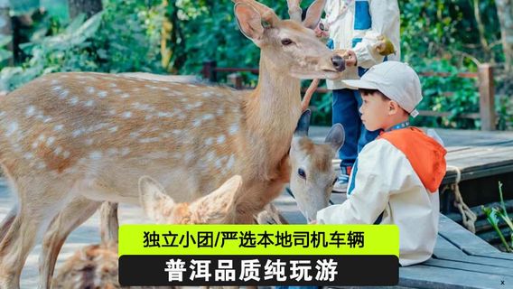普洱日遊