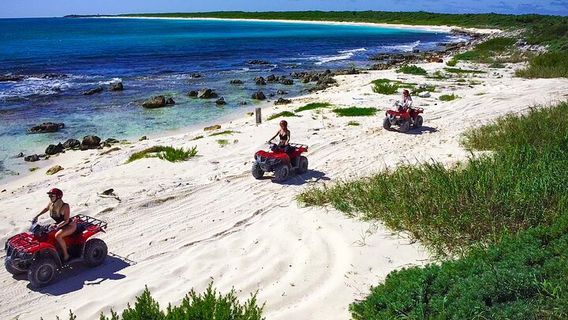 CozumelTours
