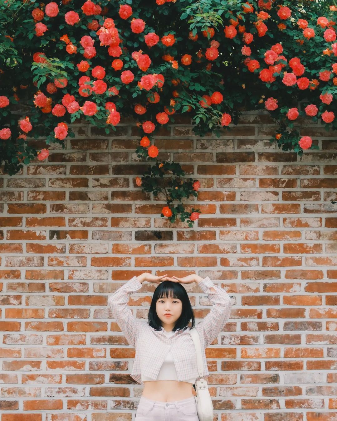 Trip Moments in Huludao[Fahrer, Reiseleiter und Fotograf für Trip Moments + Hochzeitsfotos mit Drohnenaufnahmen und Kurzfilmen + Make-up und Kostüme + individuelle Reiseplanung + keine Begrenzung der Teilnehmerzahl]