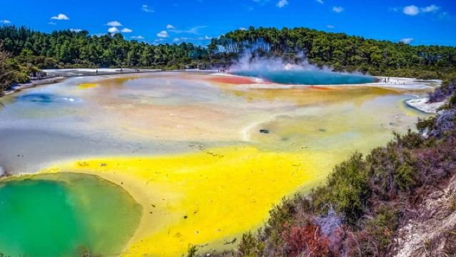 Perjalanan sewaan peribadi yang boleh disesuaikan ke Kawasan Geothermal Wai-O-Tapu, Tasik Rotorua, Taman Perbandaran dan Hutan Redwood di New Zealand
