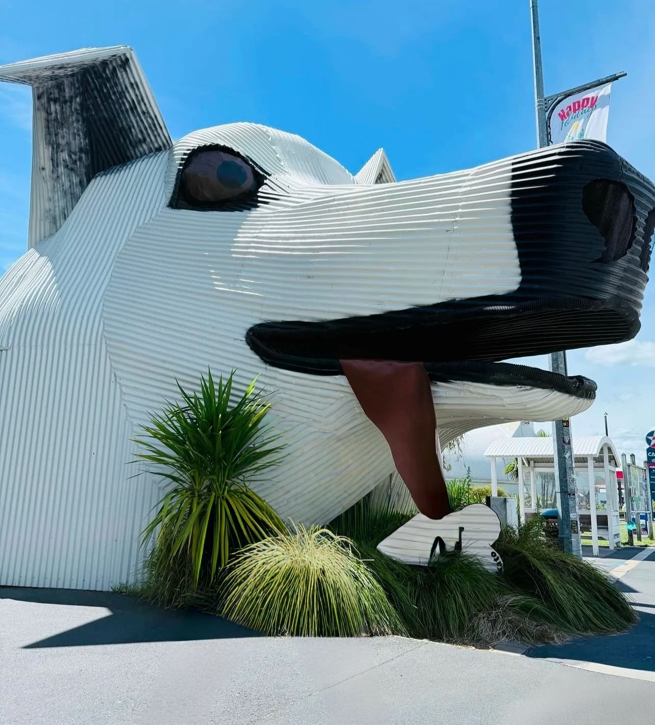 奧克蘭包車一日遊藍泉+地熱公園+胡卡瀑布+陶波湖【經典遊】