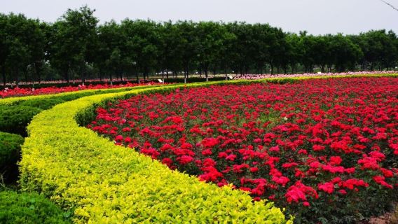 Xi'an: Eat, Drink, Play and Have Fun - Yuanjiacun Ancient Town - Hanyang Tomb - Zhaoling Tomb|guide|private charter F