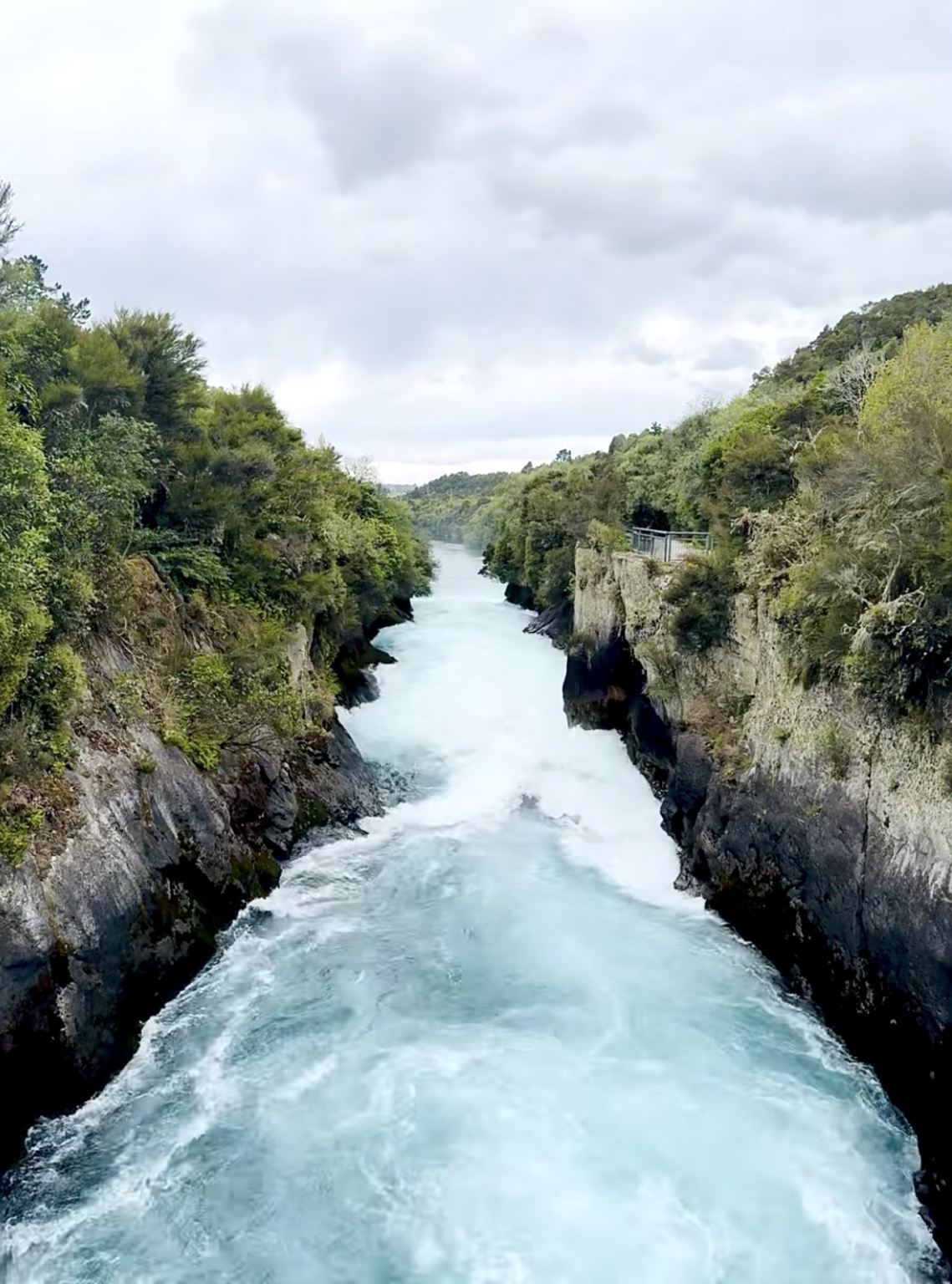 藍泉+鐵皮小鎮+胡卡瀑布【奧克蘭周邊包車一日遊】