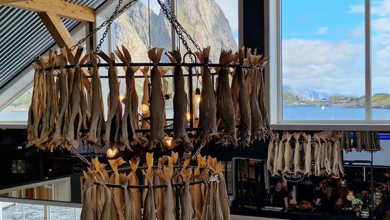 SvolvaerTours