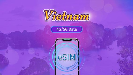 Việt NamThẻ SIM & Wifi