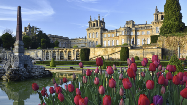 英國+倫敦+白金漢宮+大本鐘一日遊/行程可調-可定制