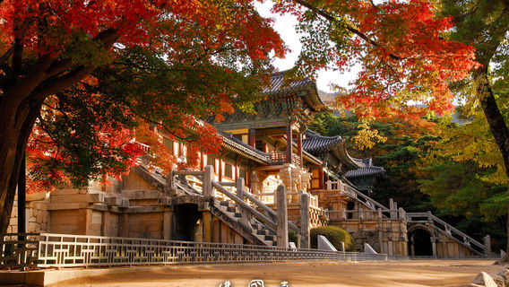 GyeongjuTours
