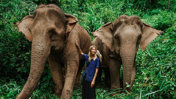 【4人小團】清邁一日遊粘粘瀑布半日遊大象咖啡粑粑紙老虎園包車
