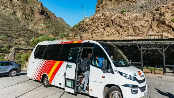 From Las Palmas: Highlights of Gran Canaria Day Tour