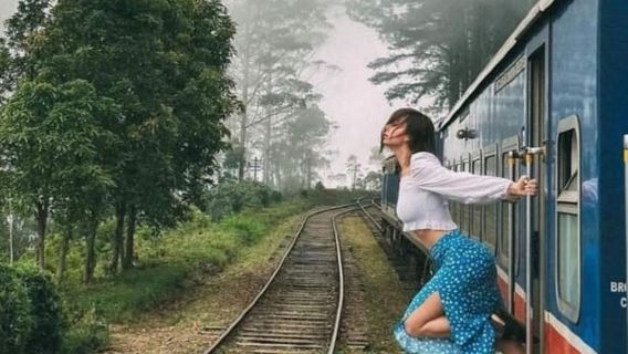 From Ella- All inclusive Day Trip of 8 Iconic Sights & Train