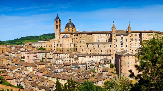 Urbino: Visita privada a pie con entrada al Palacio Ducal