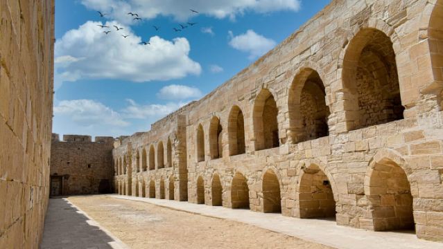 From Alexandria:- Alexandria Top Highlights half-day tour