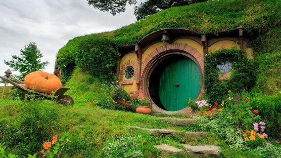 Private Hobbiton & BlueSprings & Redwood forest fromAuckland