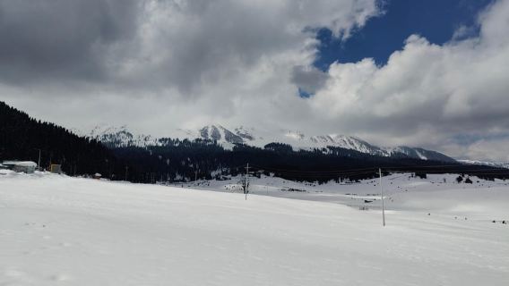 Srinagar: Gulmarg Day Tour - Explore the Meadow of Flowers