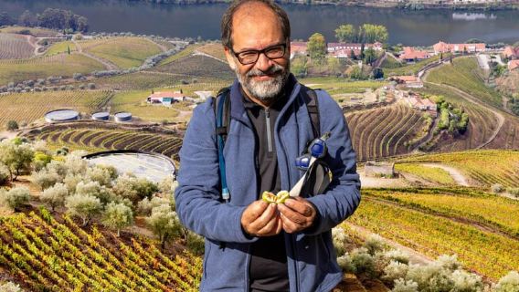 Douro Valley: Provesende and São Cristóvão Guided Hike