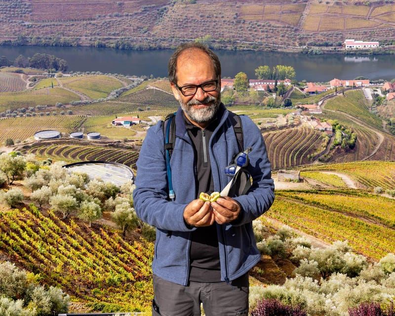 Vallée du Douro : randonnée guidée de Provesende et São Cristóvão