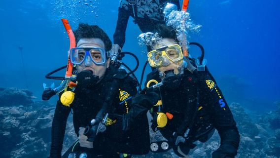 Cairns: Schnorchelkreuzfahrt zum Great Barrier Reef mit Mittagessen