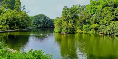 新加坡:植物園及中峇魯漫步之旅(含早餐)
