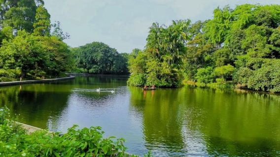 Recorrido a pie por los Jardines Botánicos y Tiong Bahru con desayuno