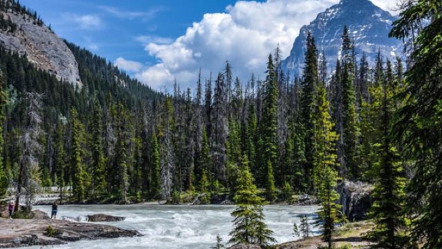 Banff/Calgary: Excursión de un día al lago Louise, el lago Moraine y el lago Esmeralda