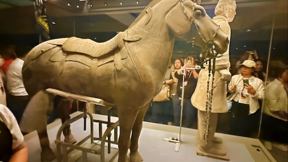 Terracotta Warriors + Lishan Garden 1-day tour