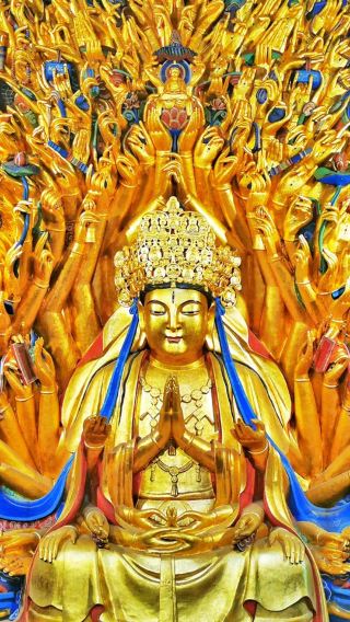Digital film + Dazu Rock Carvings Baoding Mountain + Beishan + museum 1-day tour with guide, small group for pure fun