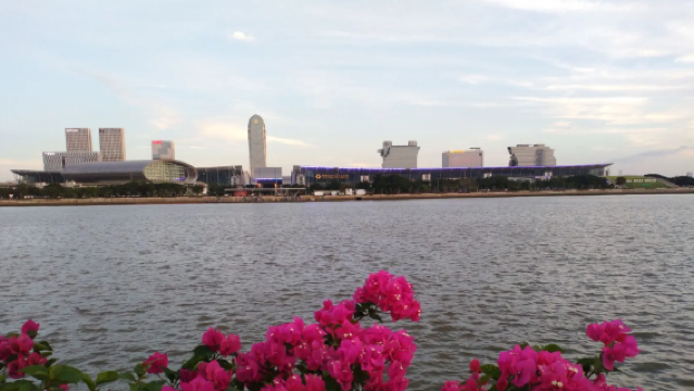 【廣州尊享商務專線】專車接送+地陪翻譯+工廠考察（可定制）