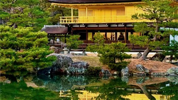 【京都賞楓】二條城嵐山金閣寺伏見稻荷大社一日遊【中文司機】