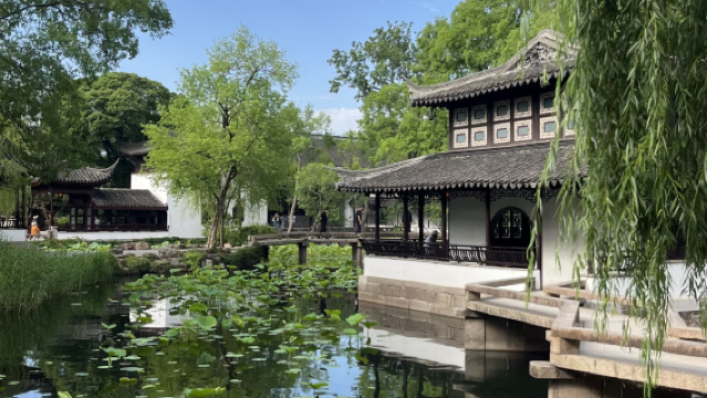 蘇州拙政園+寒山寺+山塘街一日遊【門票全含】