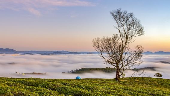 比利時+布魯塞爾+尿尿小童+歐盟總部【暢遊城市精華】普通話司導