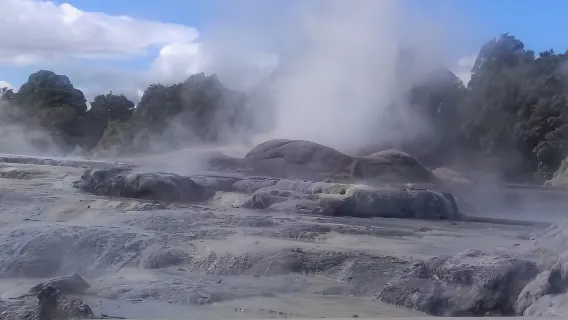 Tour thăm làng Hobbit và Rotorua 1 ngày | Khởi hành từ Auckland và Rotorua (Hướng dẫn viên nói tiếng Anh)