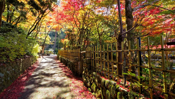 日本神戶｜跑腿翻譯｜地接｜地陪｜本地留學生自由行接機｜商務展會｜AY