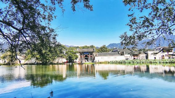 Departing from downtown Tunxi: 1-day private charter tour to Tunxi Old Street + Hongcun + Xidi