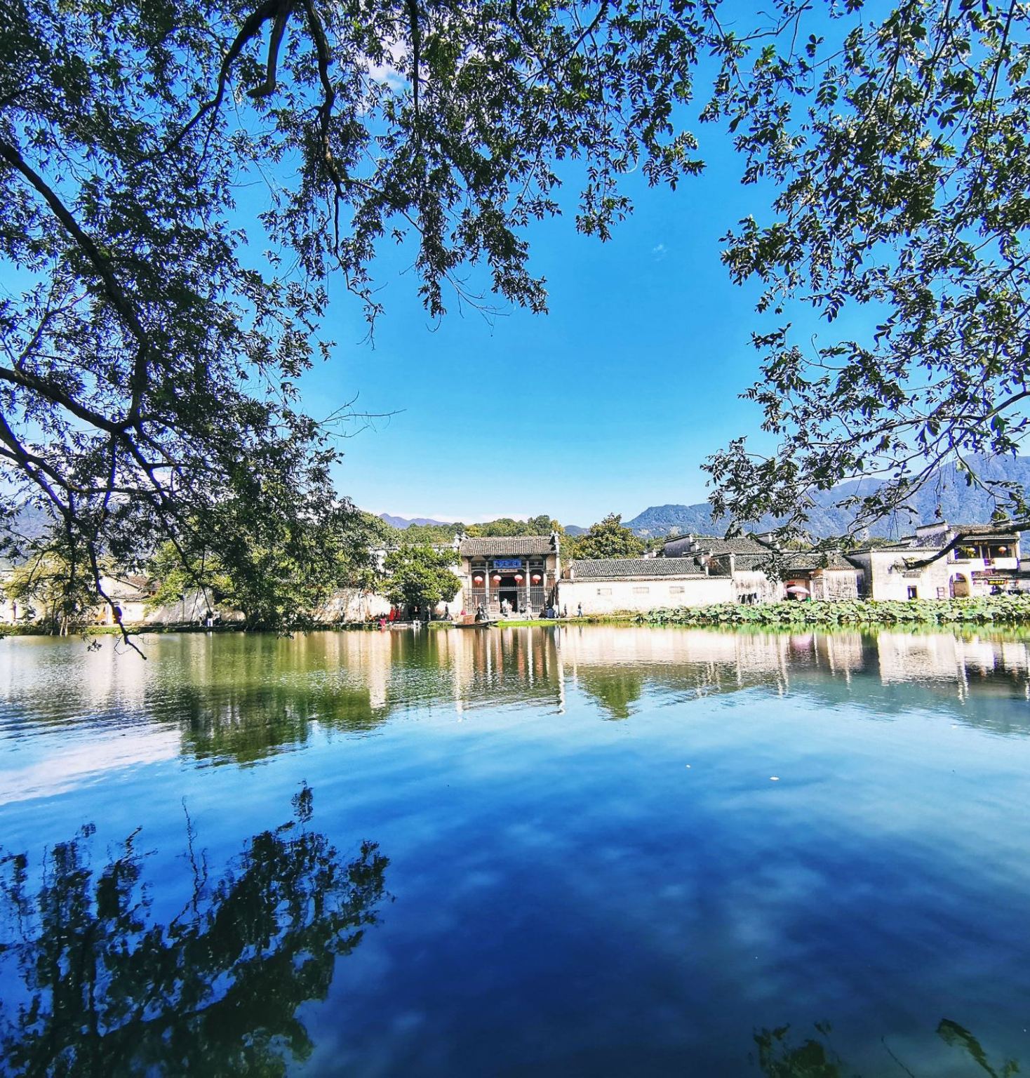 Departing from downtown Tunxi: 1-day private charter tour to Tunxi Old Street + Hongcun + Xidi