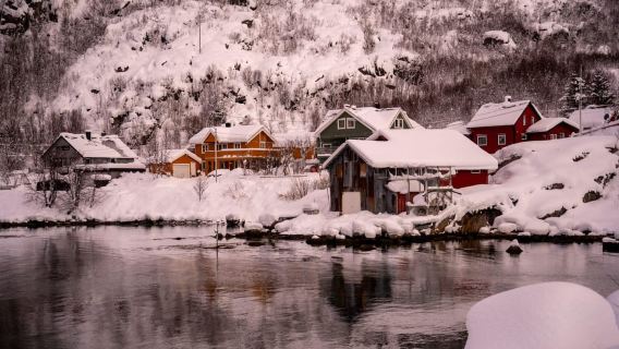 Ab Tromsø: Arktischer Roadtrip: Fjordtour mit malerischem Picknick