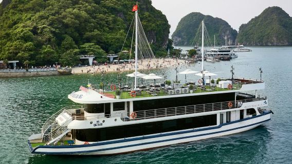 Baia di Ha Long: crociera di un giorno intero ad Arcady + pranzo