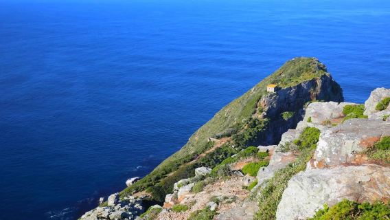 【南非之南】開普敦出發 桌山+好望角 包車一日遊