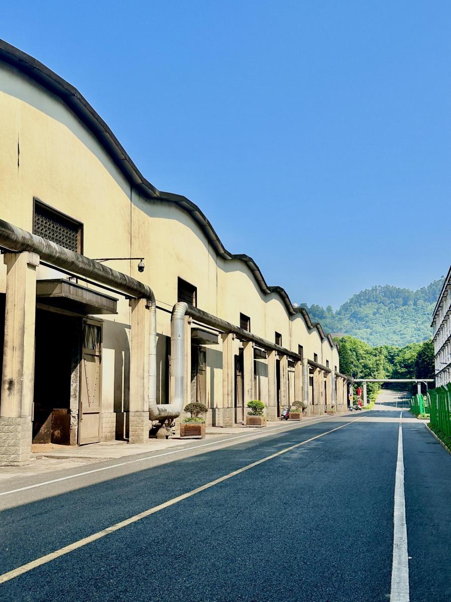 四川宜賓五糧液酒文化博覽館+合江門+李莊包車一日遊中英文服務