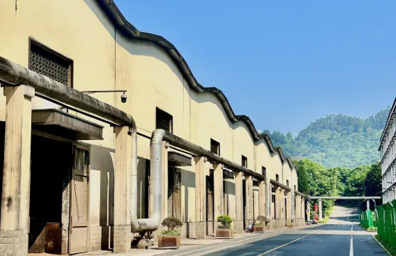 四川宜賓五糧液酒文化博覽館+合江門+李莊包車一日遊中英文服務