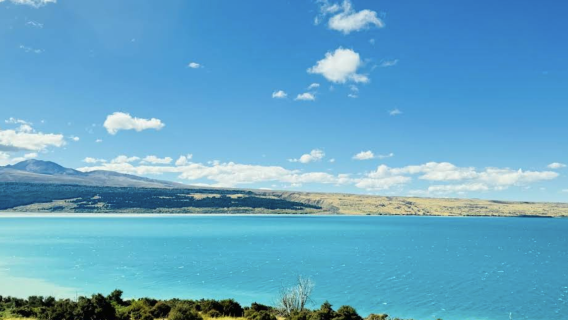 紐西蘭皇后鎮花園-極限運動-行程可訂製【中文專車-愜意舒適】