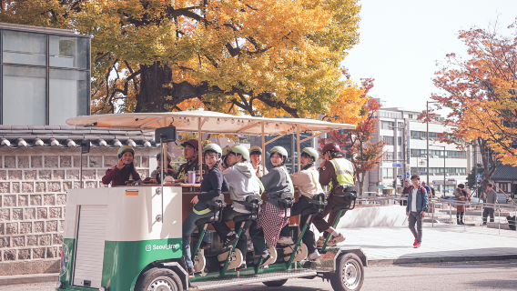 Seoul Tram Tour