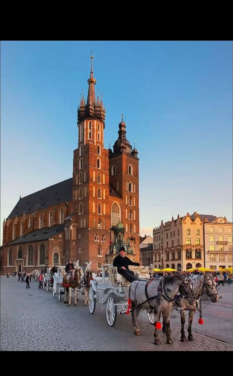 Università di Varsavia + Palazzo di Łazienki + Città Vecchia + Museo Marie Curie