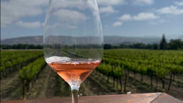 美國舊金山-納帕谷-酒鄉清風-微醺恰好【中文專車-悅享旅程】