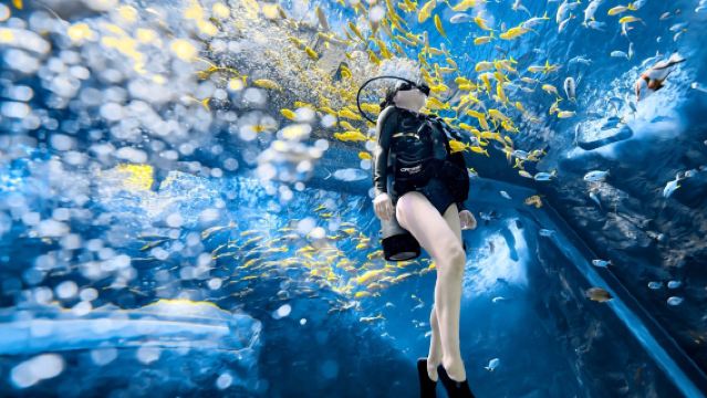 無錫融創海世界(融創茂店)體驗潛水浮潛0.5小時【潛水體驗+贈融創海世界門票】