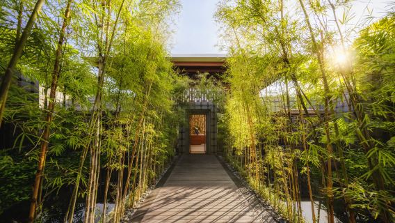 Spa Experience at Regent Bali Canggu
